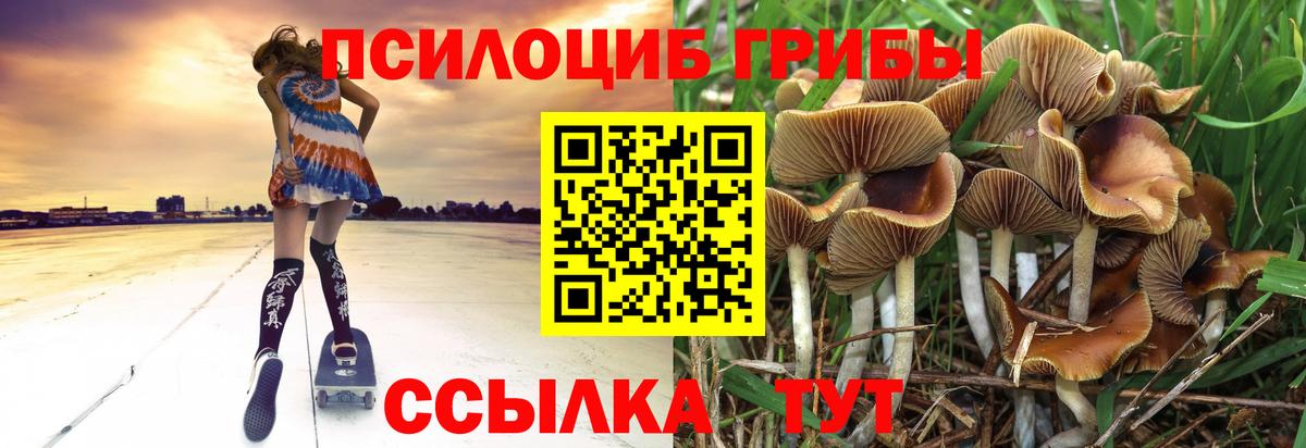 Псилоцибиновые грибы мицелий  Вход с VPN  наркошоп  Нарткала 